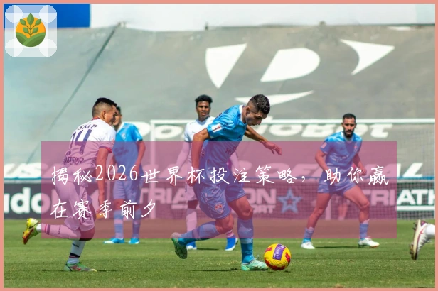 揭秘2026世界杯投注策略，助你赢在赛季前夕