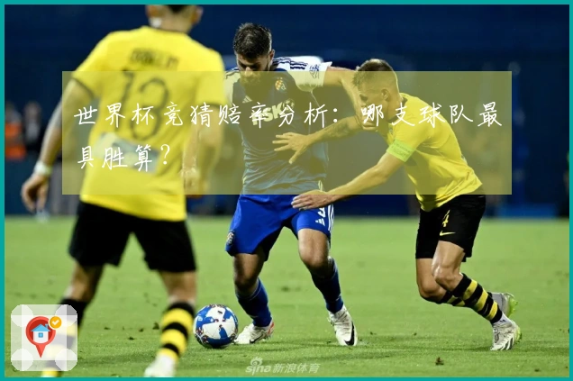 世界杯竞猜赔率分析：哪支球队最具胜算？