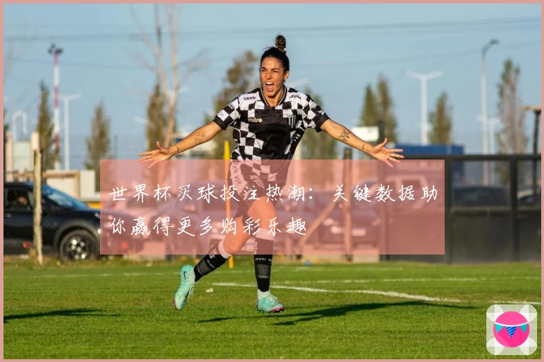 世界杯买球投注热潮：关键数据助你赢得更多购彩乐趣
