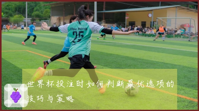 世界杯投注时如何判断最优选项的技巧与策略