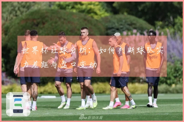 世界杯让球分析：如何判断球队实力差距与盘口变动